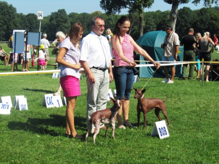 19.8.2012 MVP Duodanube Bratislava, Třída šampionů, Výborný 1, CAC, CACIB, BOB
